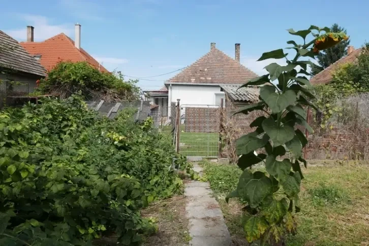 Дом в деревне Горны Бар недалеко от Братиславы, Словакия