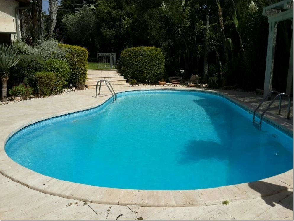Villa in Tel Aviv with swimming pool and spacious plot Israel