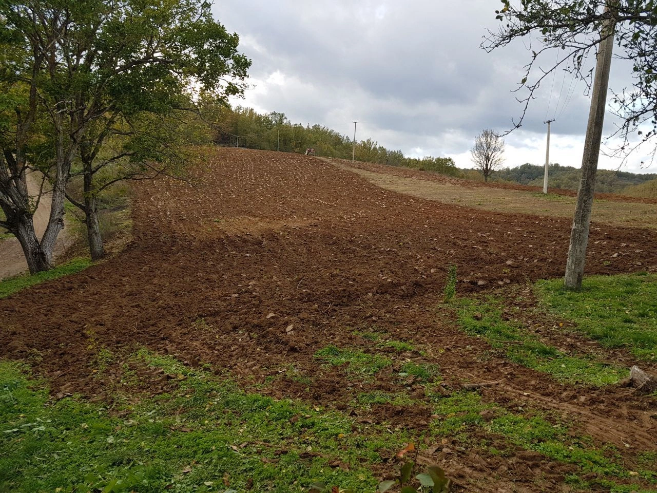 Участок для сельского хозяйства в Медведье, Сербия