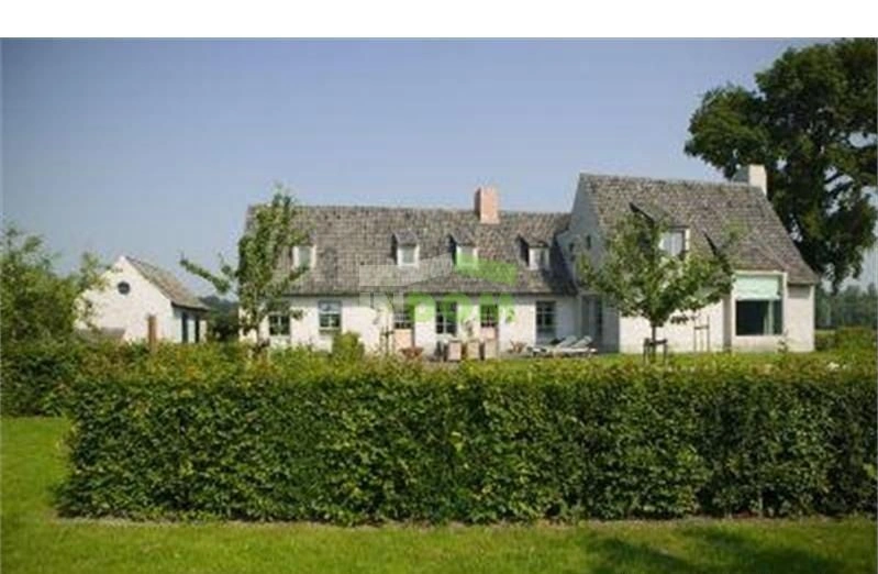 Вилла в Брюгге с просторной гостиной и большим садом, Бельгия #OBe 20-19)