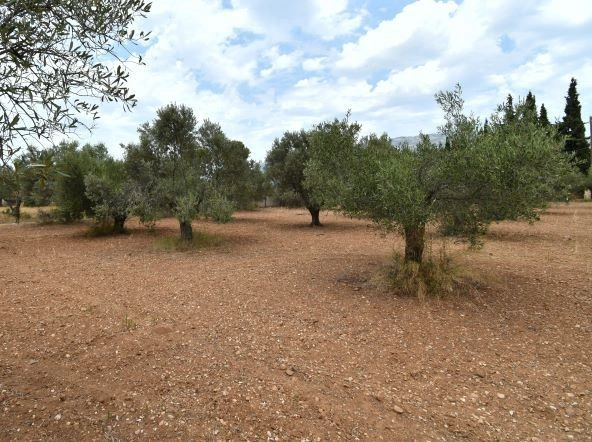 Двухэтажный дом 400 м² в Лутраки