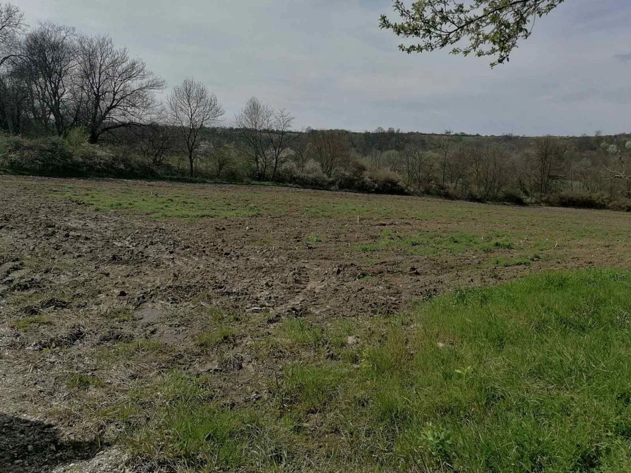 Building plot in Belgrade, Serbia