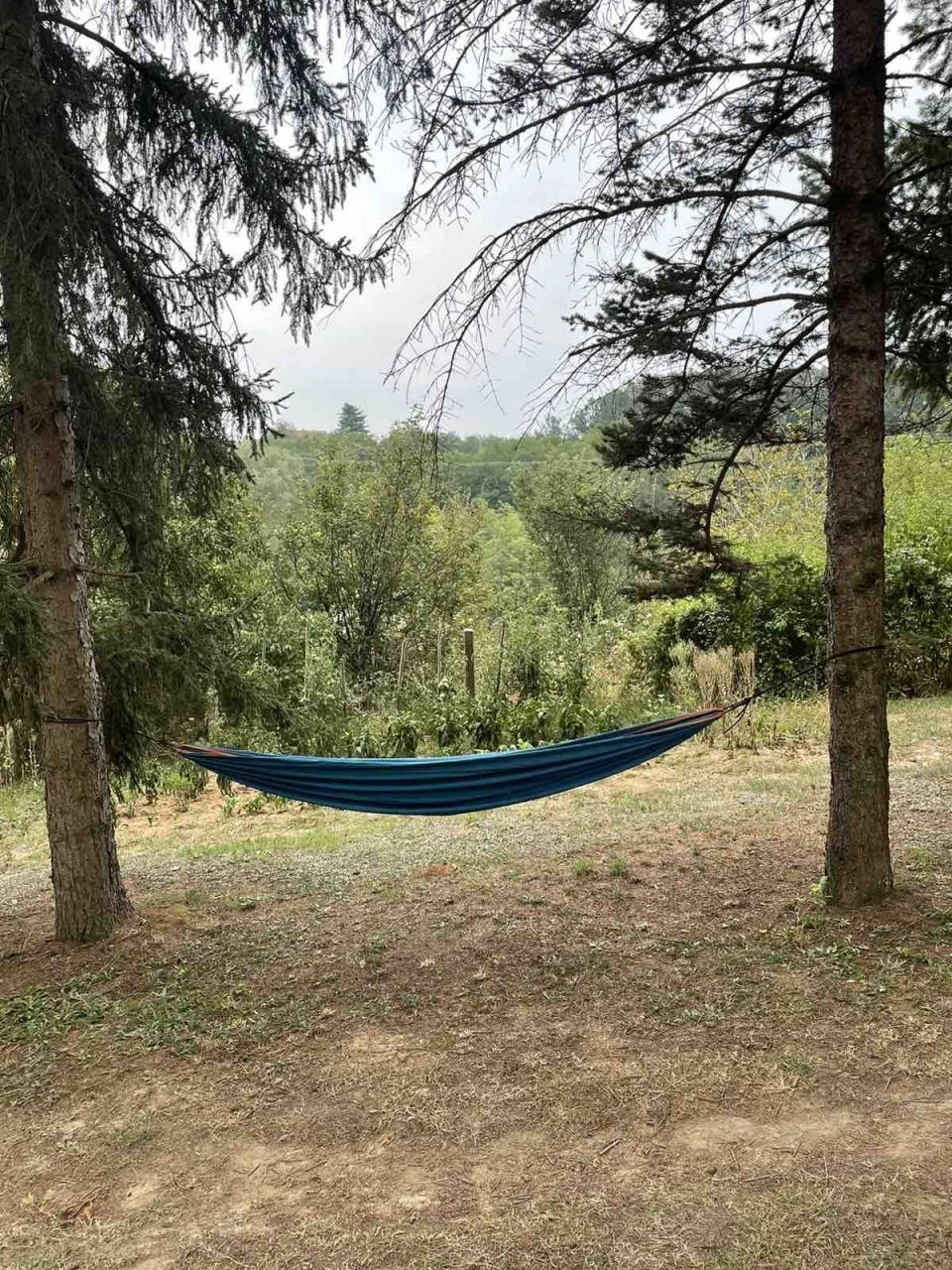 Вилла с просторными террасами в Лознице, Сербия