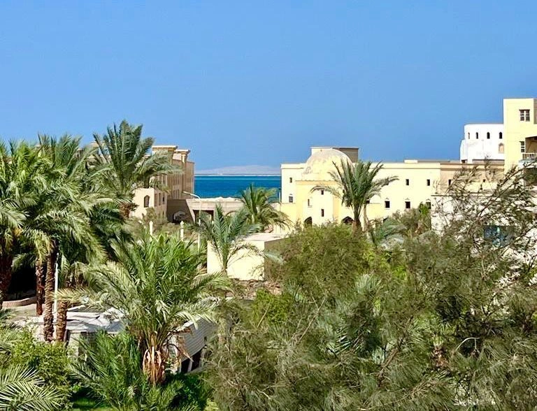 Студия с видом на море