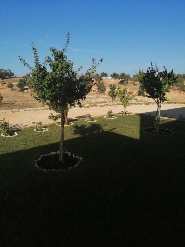 Купите виллу для сельского туризма 5+1 в Алгарве, Португалия