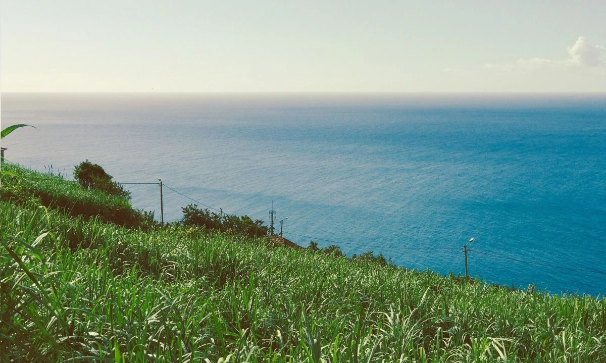 Вилла 3+1 в районе Рибейра-Брава, Мадейра, Португалия