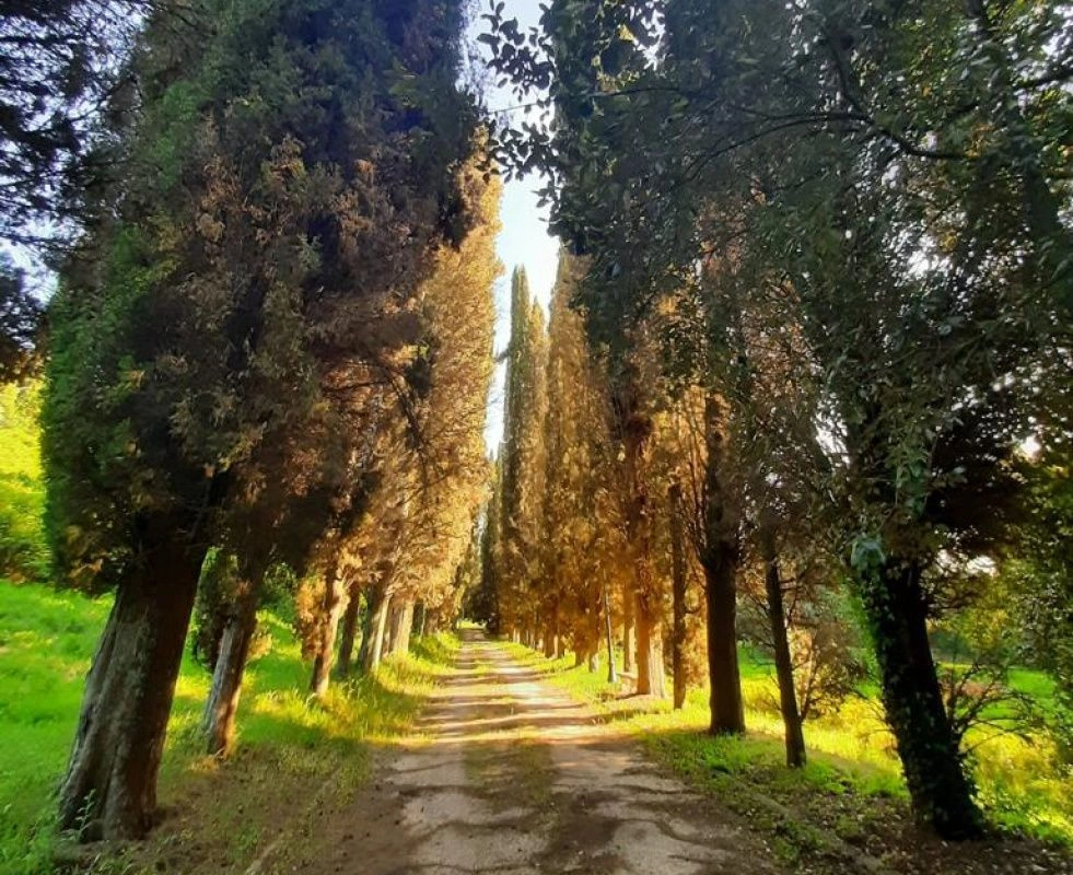 Историческая вилла в пригороде Пизы с парком и водопадом, Италия