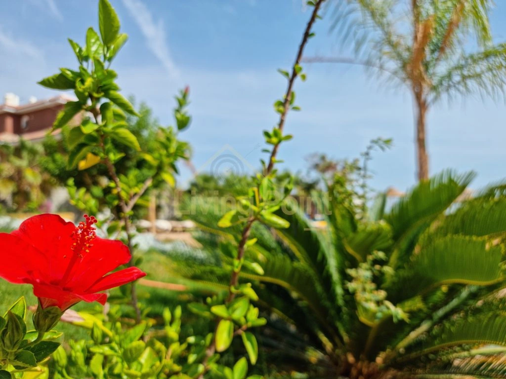 Компактная квартира 1+1, готова к заселению в Хургаде, Египет