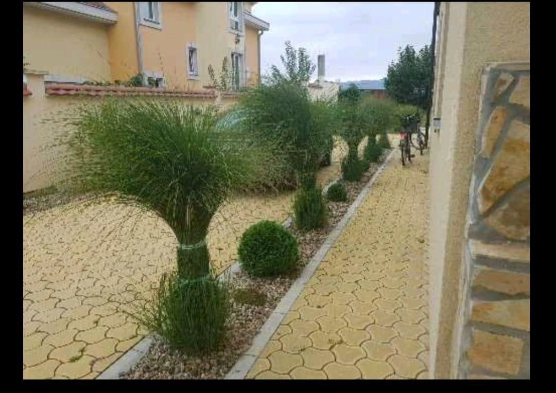 Дом 4+1 в центре Нови-Сада, Сербия