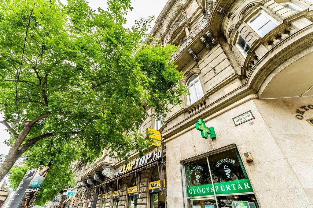 Квартира 3+1 с видом на город в центре Будапешта