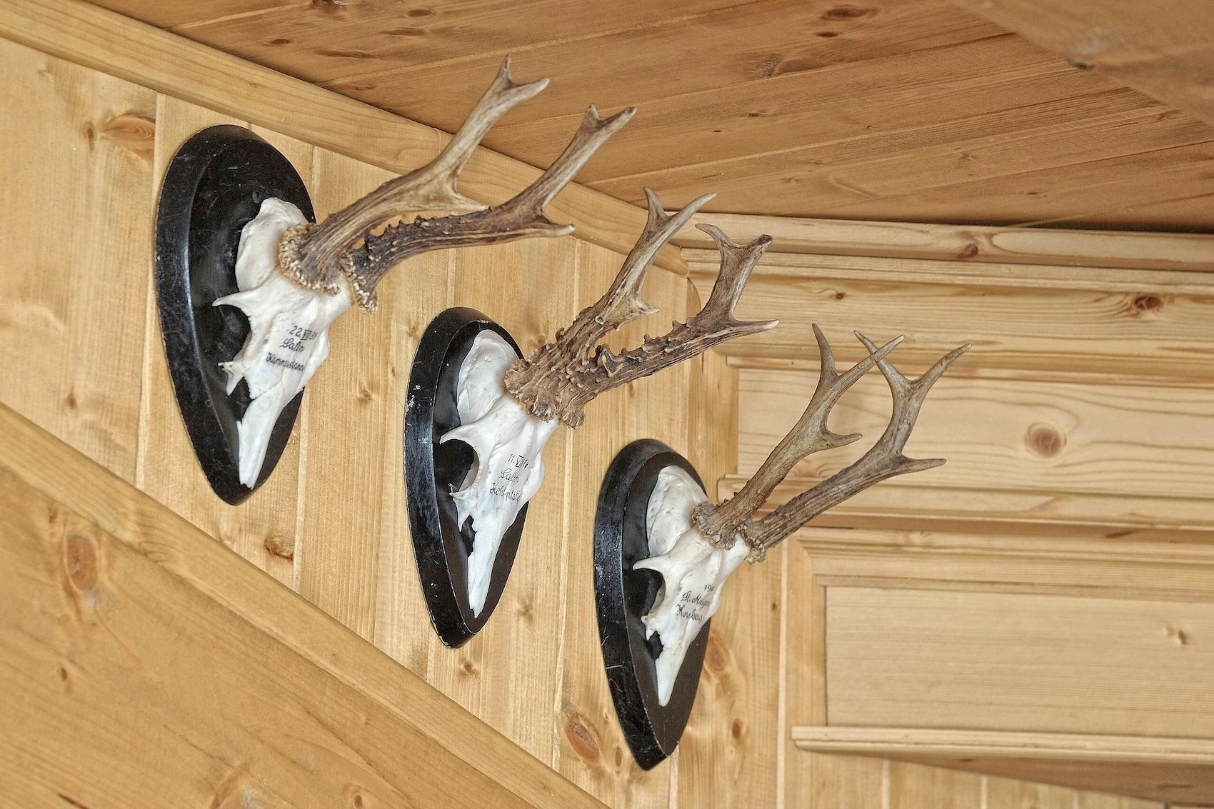 Квартира в Пинцоло с видом на горы