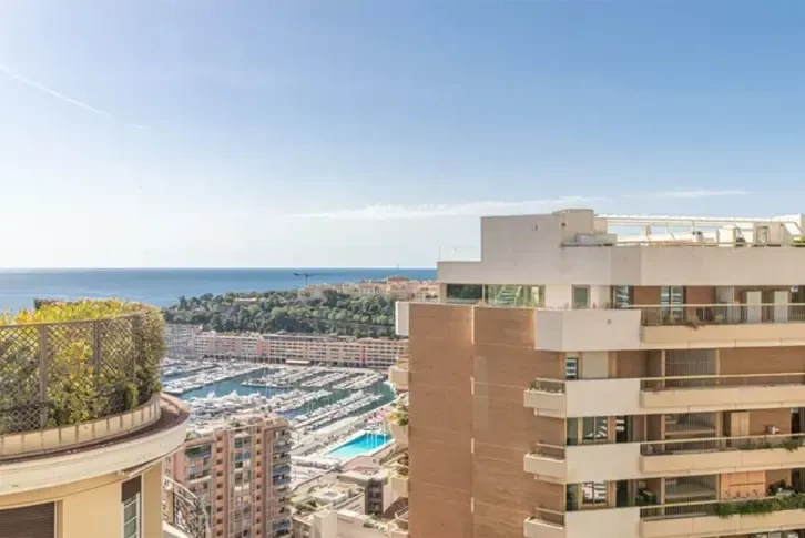 Семейная квартира площадью 174 м2 в Les Oliviers, Монако