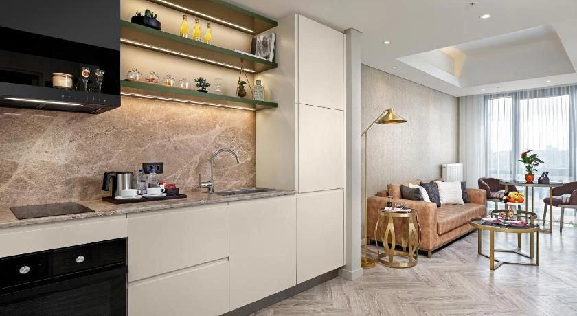 Меблированные апартаменты с гарантированным доходом в Стамбуле, Турция