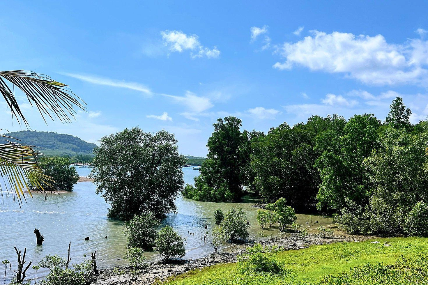 Меблированные квартиры с арендным управлением на Пхукете, Таиланд