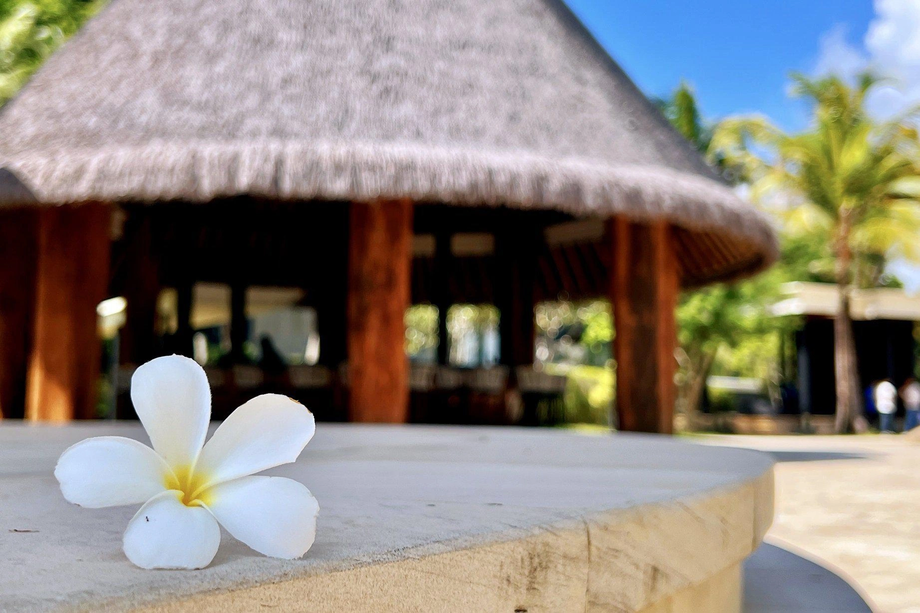 Меблированные квартиры с арендным управлением на Пхукете, Таиланд