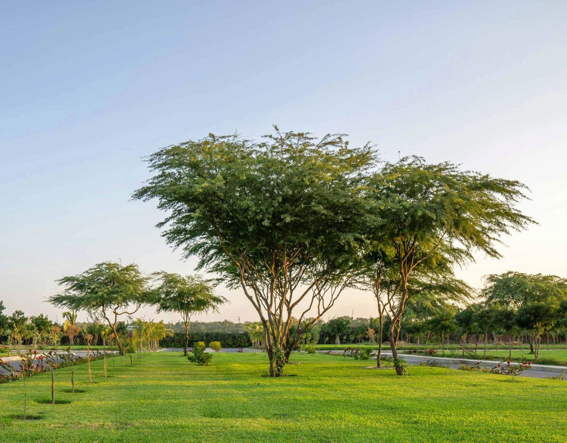 Виллы Arabian Hills Estate, Объединённые Арабские Эмираты, Абу-Даби