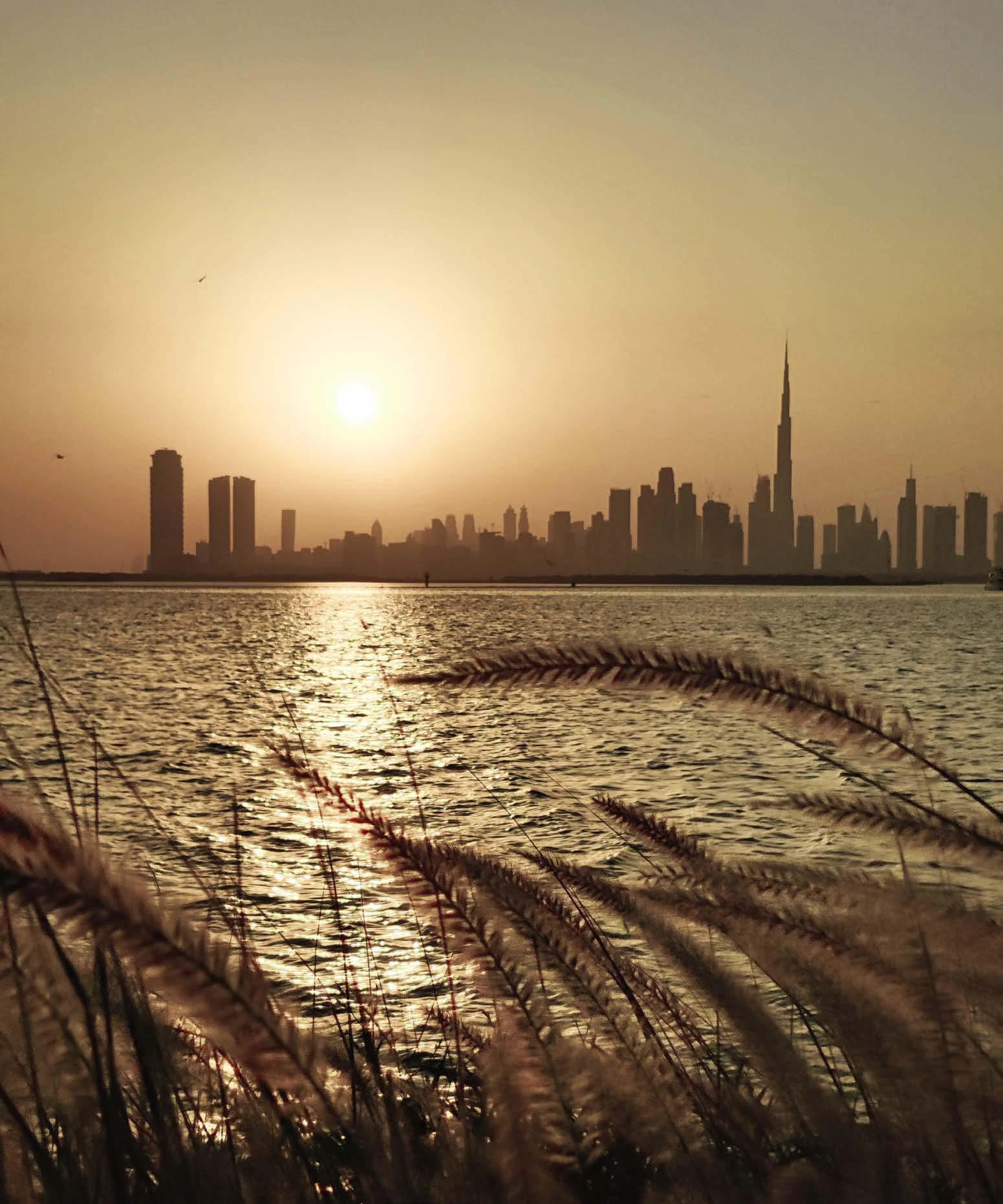 Апартаменты The Element, Объединённые Арабские Эмираты, Дубай