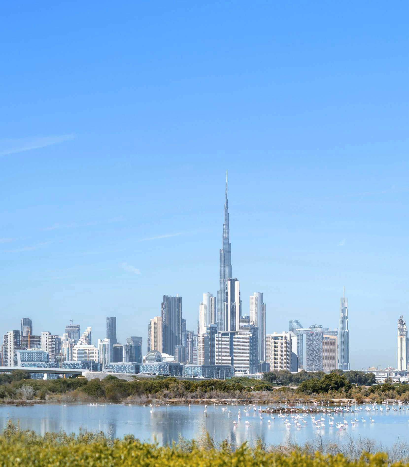 Апартаменты The Element, Объединённые Арабские Эмираты, Дубай