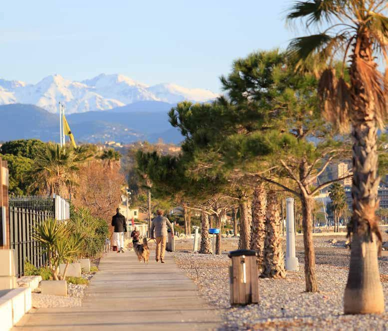 Апартаменты по рассрочке в Прованс — Альпы — Лазурный берег, Франция