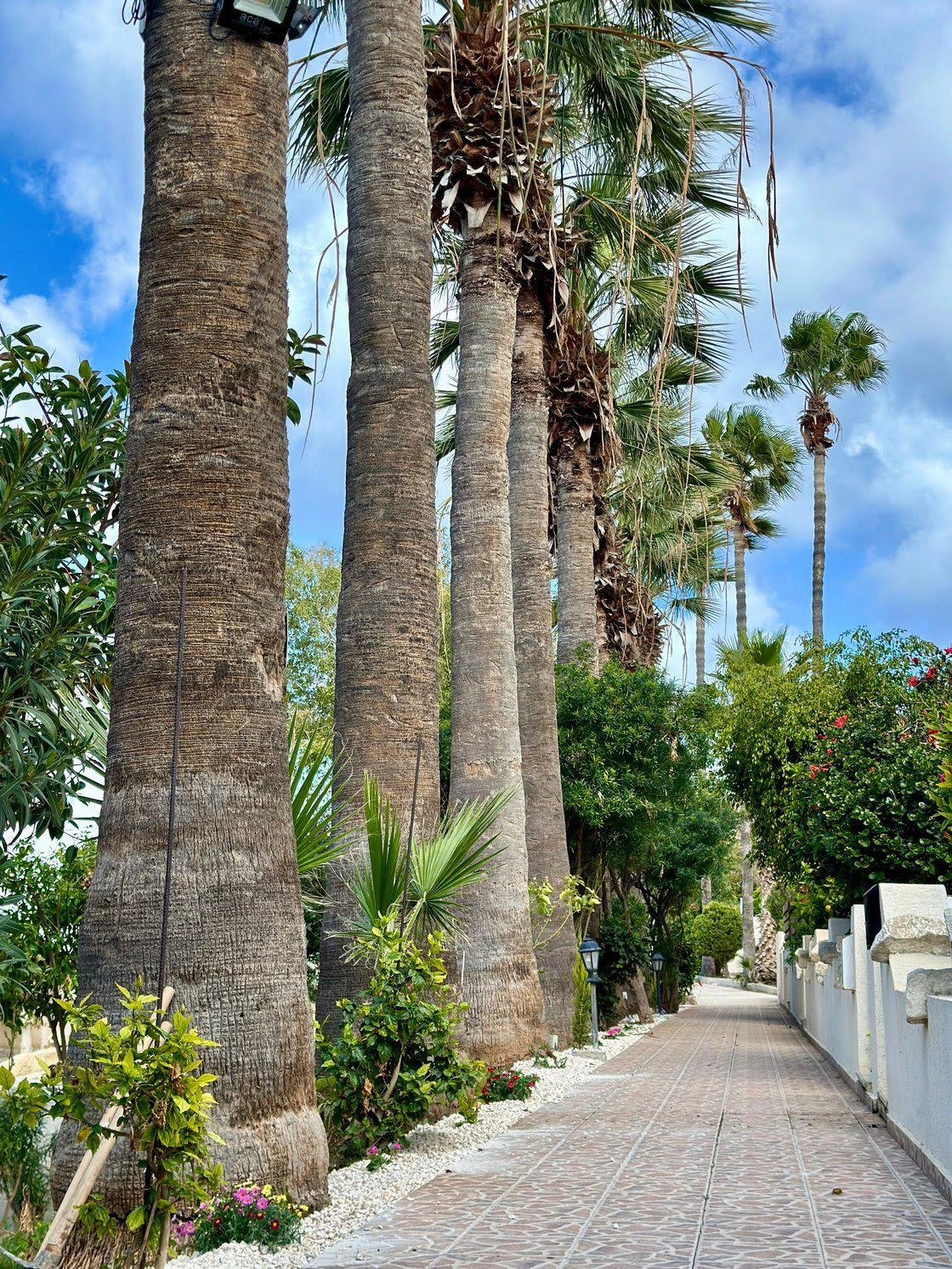 Таунхаусы с бассейном и садом в Пафосе, Кипр