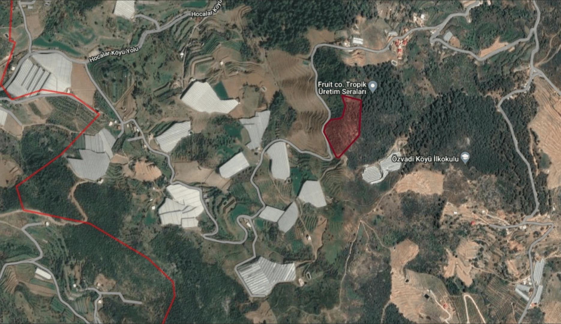 Plots for villa construction in Hocalar