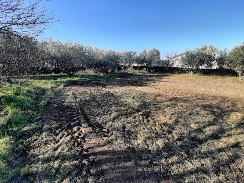 Купить землю под строительство в Хрватини, Словения - 580 тыс. € ✅