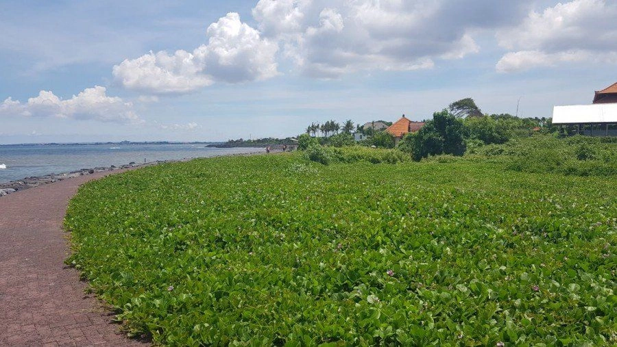 Участок под застройку в Чангу, Бали, Индонезия