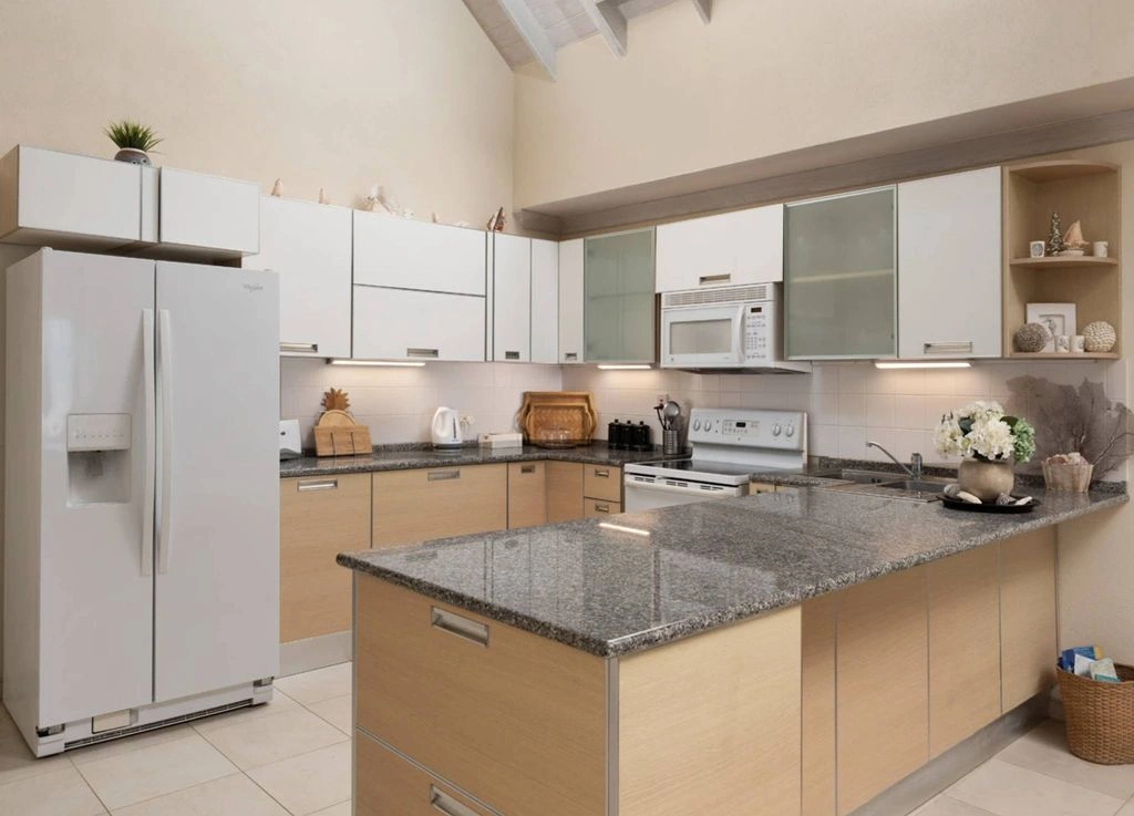 Дуплекс с видом на море, 140 м², Спейтстаун, Барбадос (#OBb 20-06)