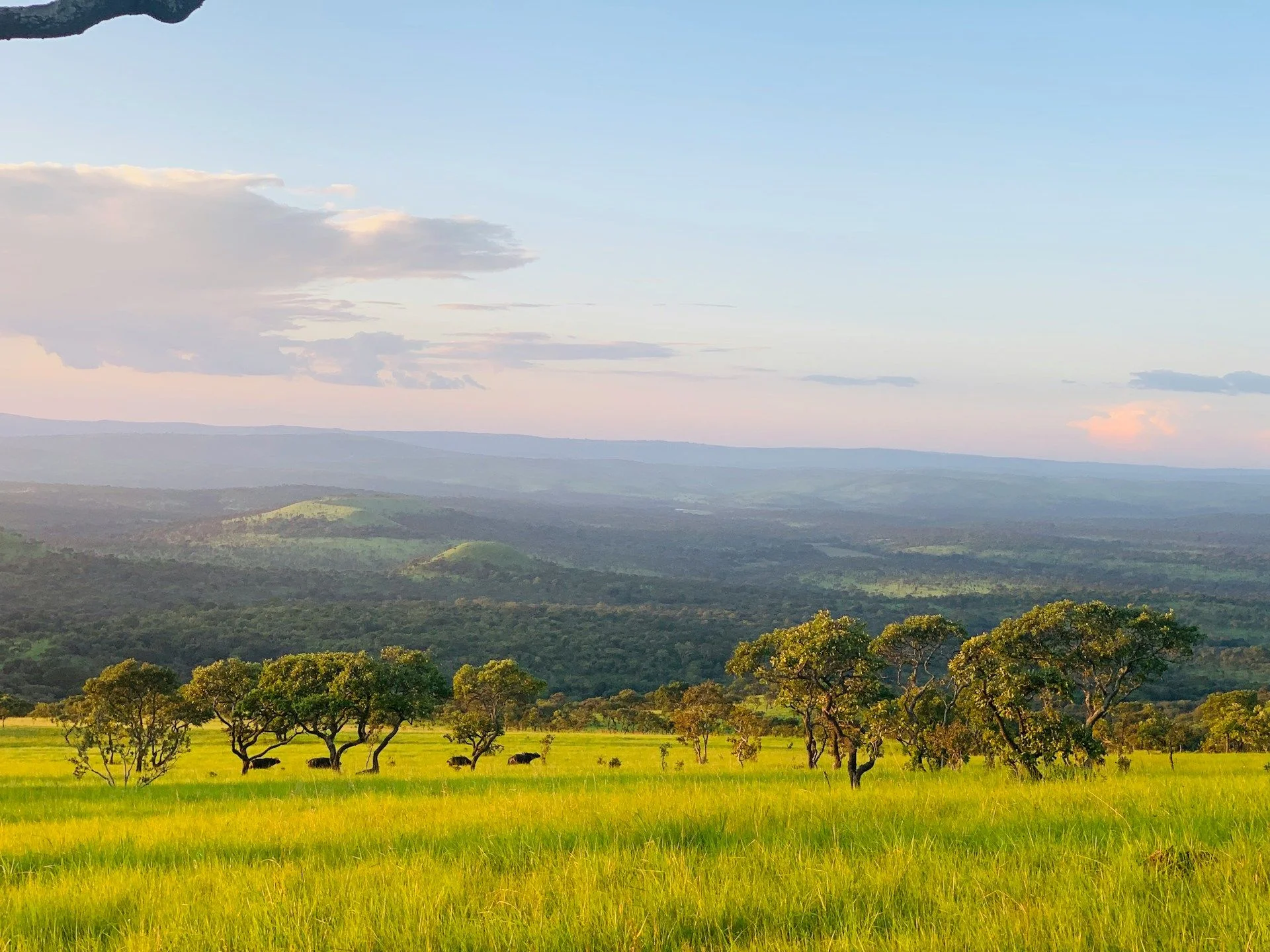 Готовая к продаже недвижимость в Бурунди — проверьте условия | VelesClub Int.