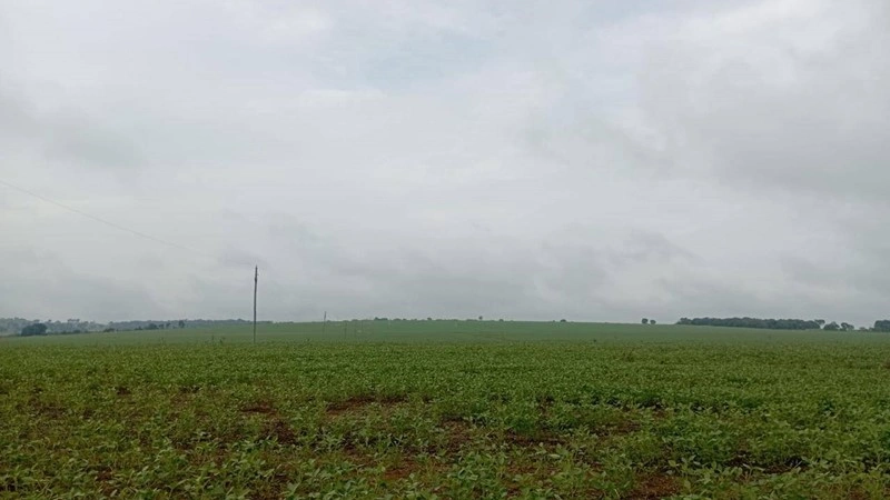 Эффективная ферма / ранчо / виноградник 3000000 m2 в Салвадоре, Бразилия