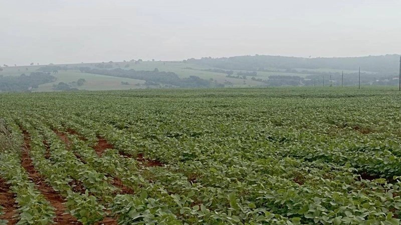 Эффективная ферма / ранчо / виноградник 3000000 m2 в Салвадоре, Бразилия