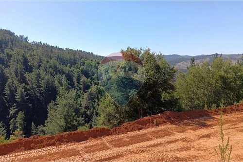 Современная ферма / ранчо / виноградник 5100 m2 в Вальпараисо, Чили