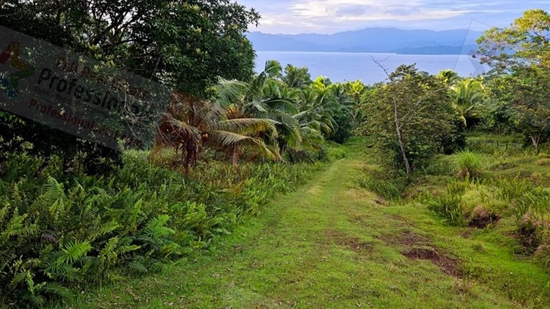 Функциональная ферма/ранчо/виноградник 2069 m2 в Савусаву, Фиджи