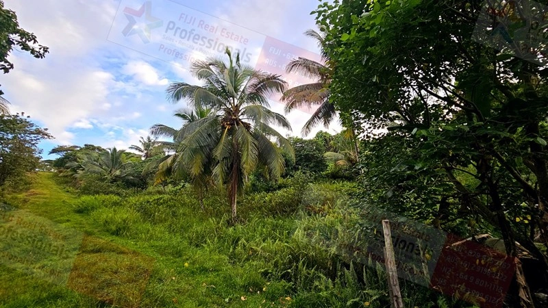 Функциональная ферма/ранчо/виноградник 2069 m2 в Савусаву, Фиджи