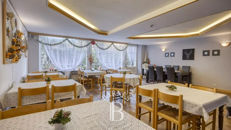 Отель 416 м² в Овернь-Рона-Альпы, Франция