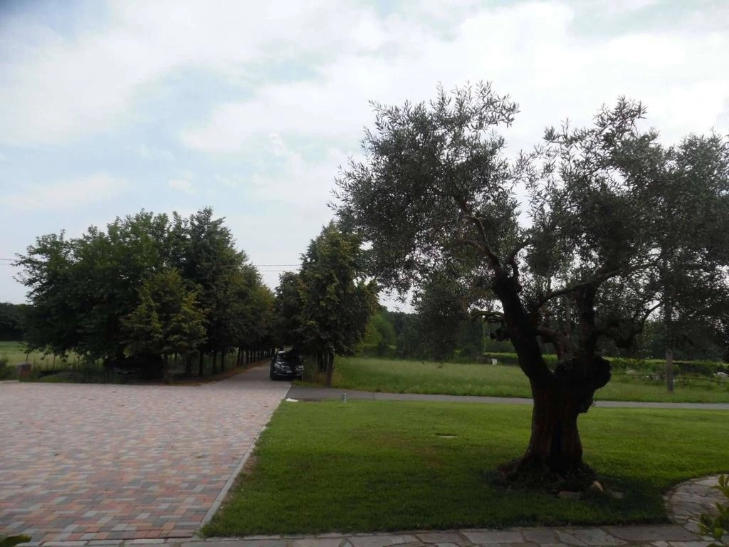 Премиальный офис в Турине 188 м²