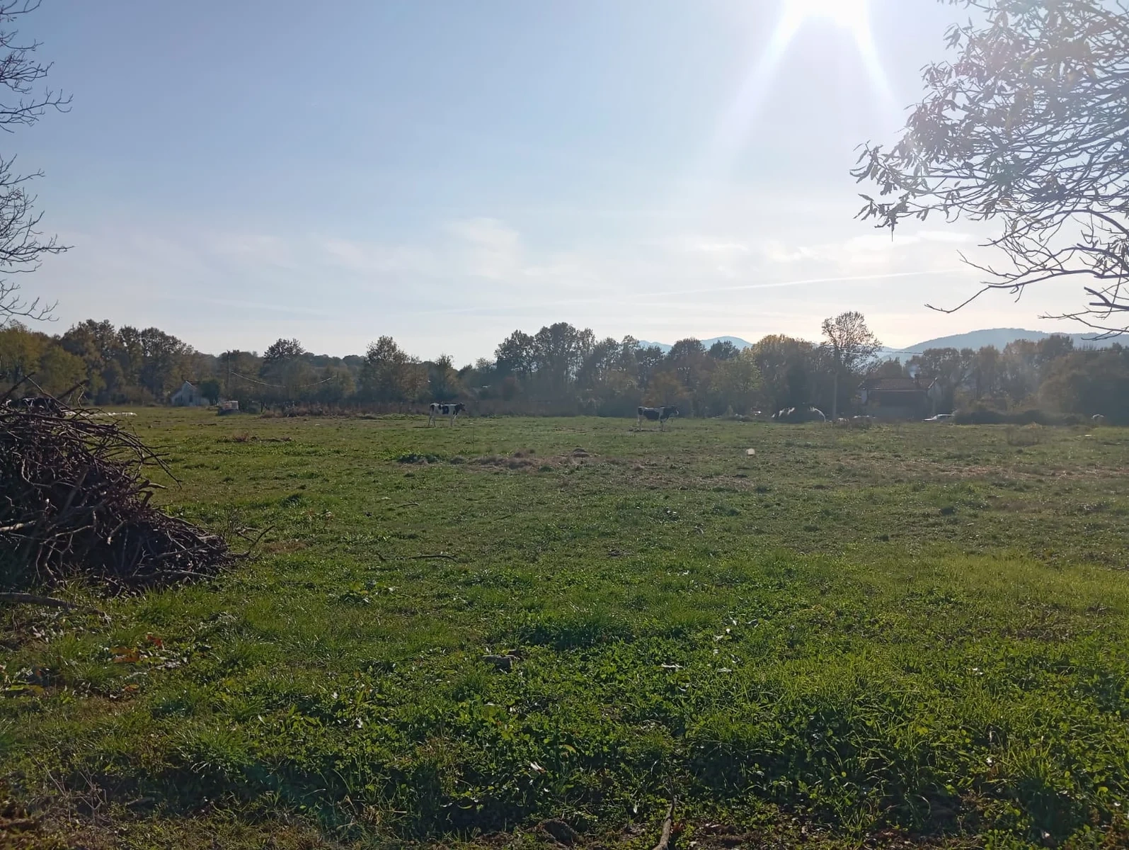 Участок площадью 5500 м2 для строительства дач в Даниловграде, Черногория