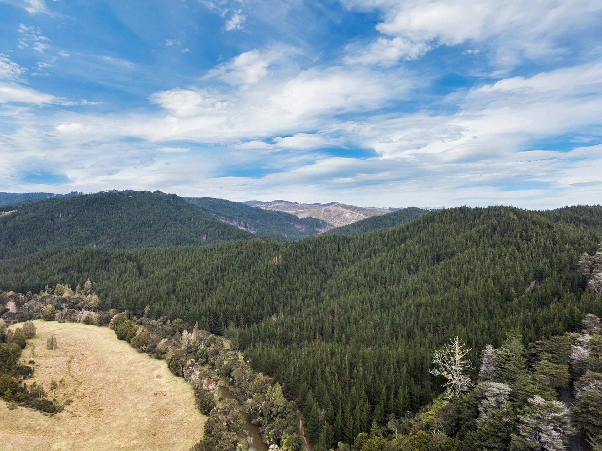 Современная ферма в Окленде, Новая Зеландия