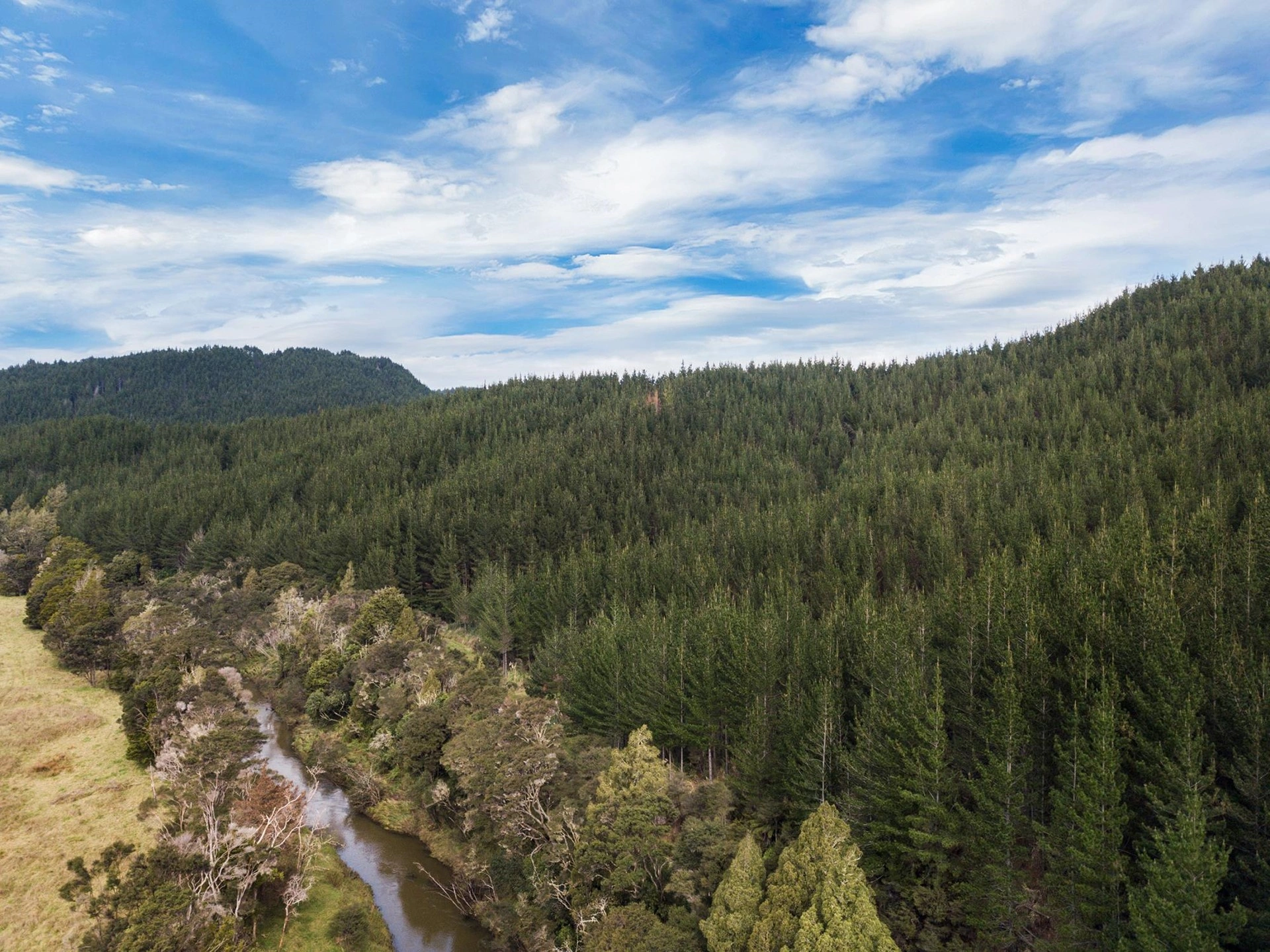 Современная ферма в Окленде, Новая Зеландия