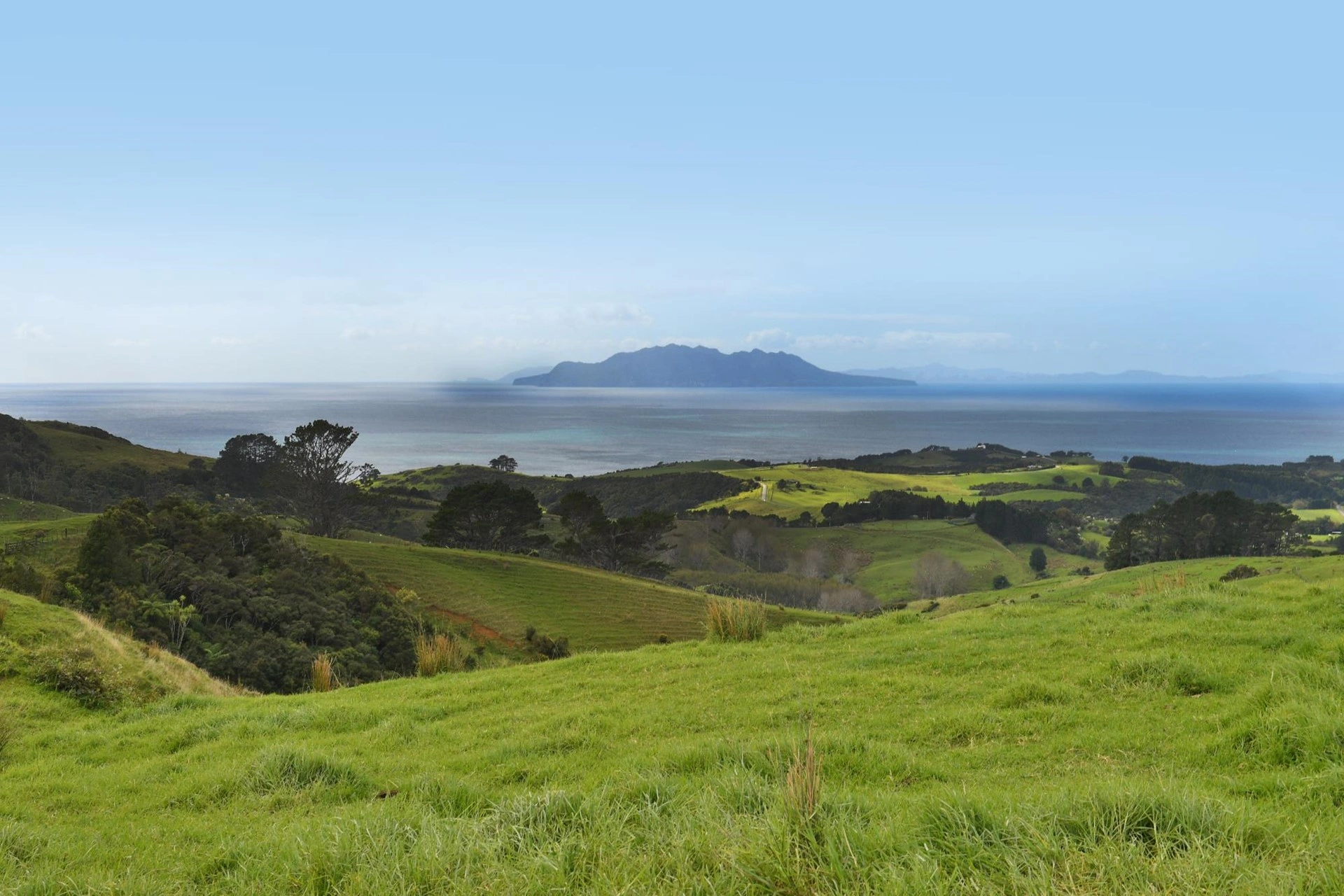 Престижная ферма в Окленде, Новая Зеландия