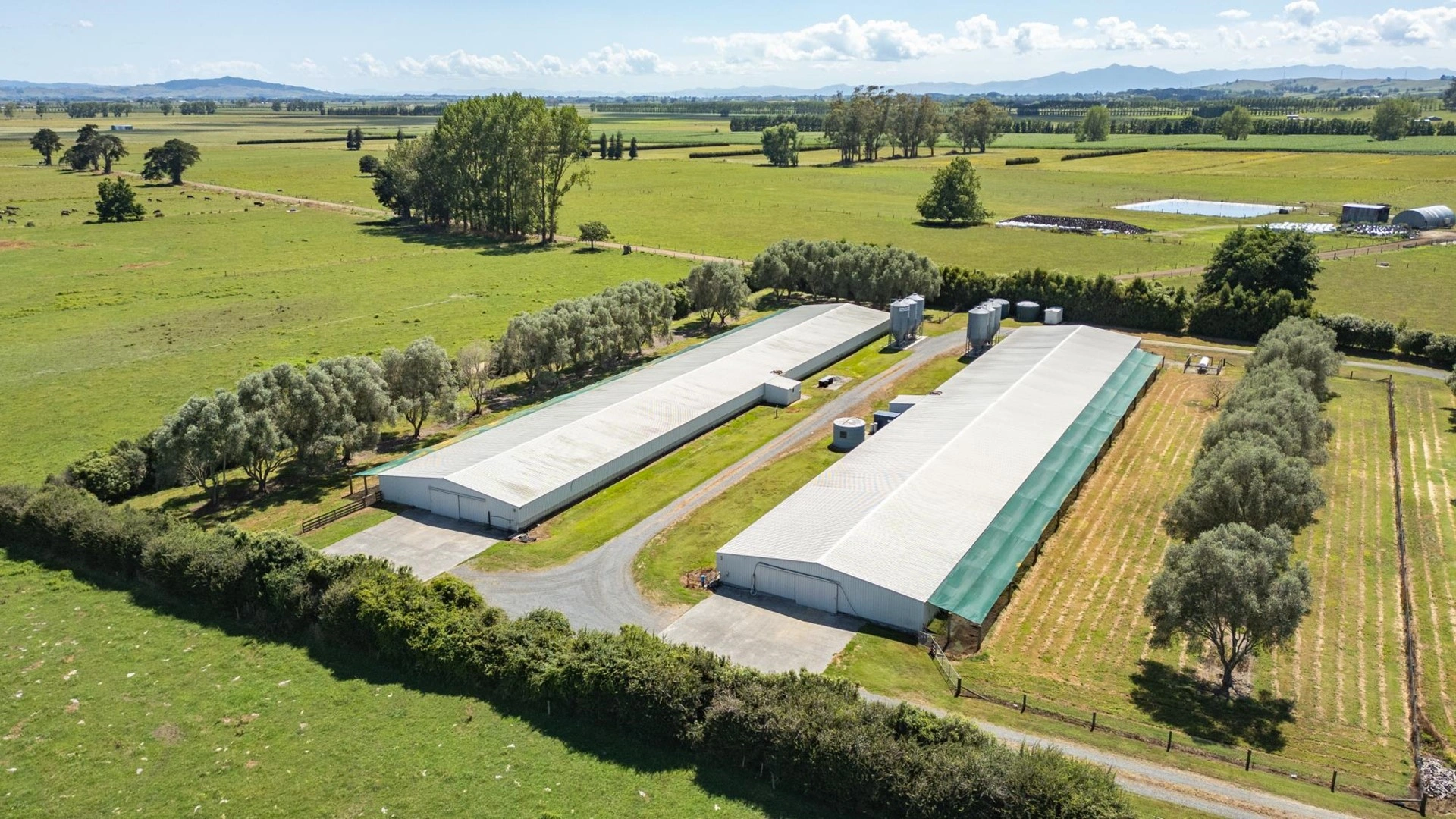 Современная ферма в Гамильтоне, Новая Зеландия