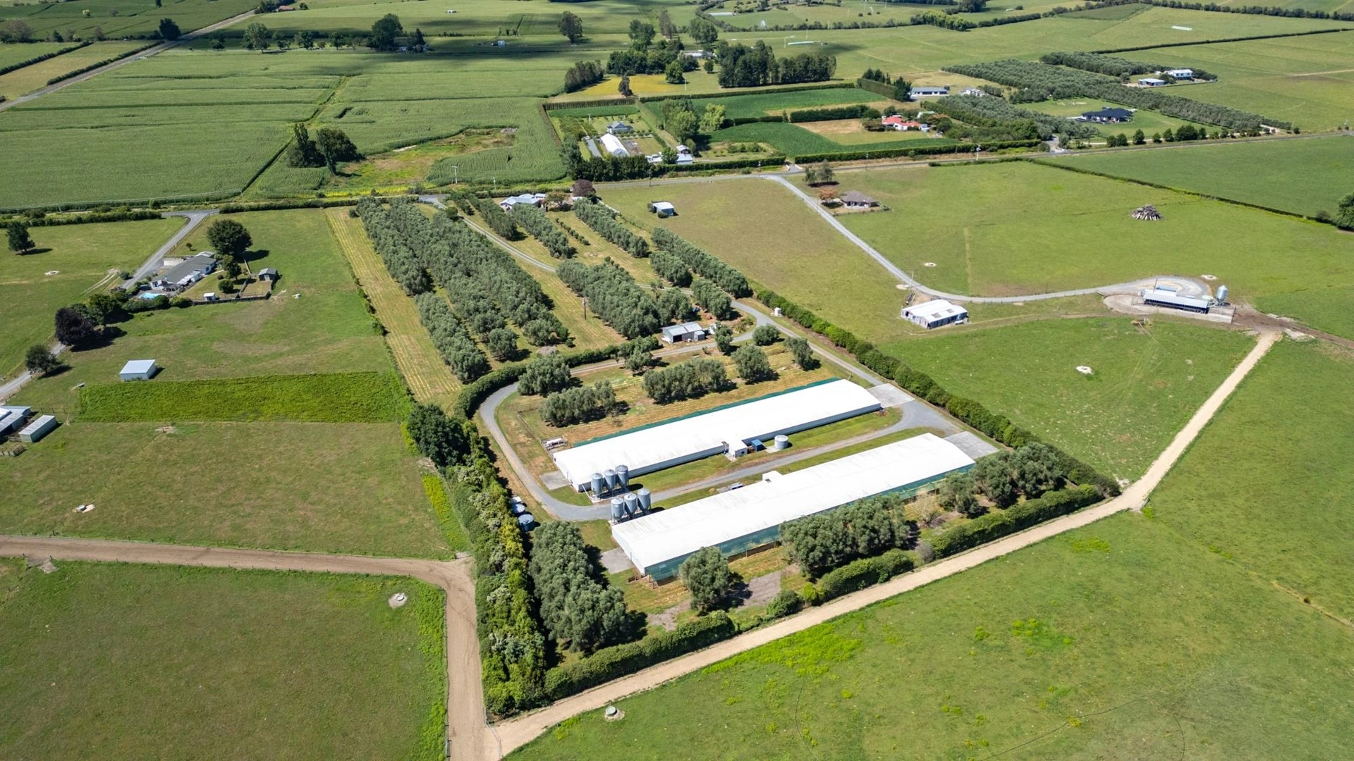 Современная ферма в Гамильтоне, Новая Зеландия