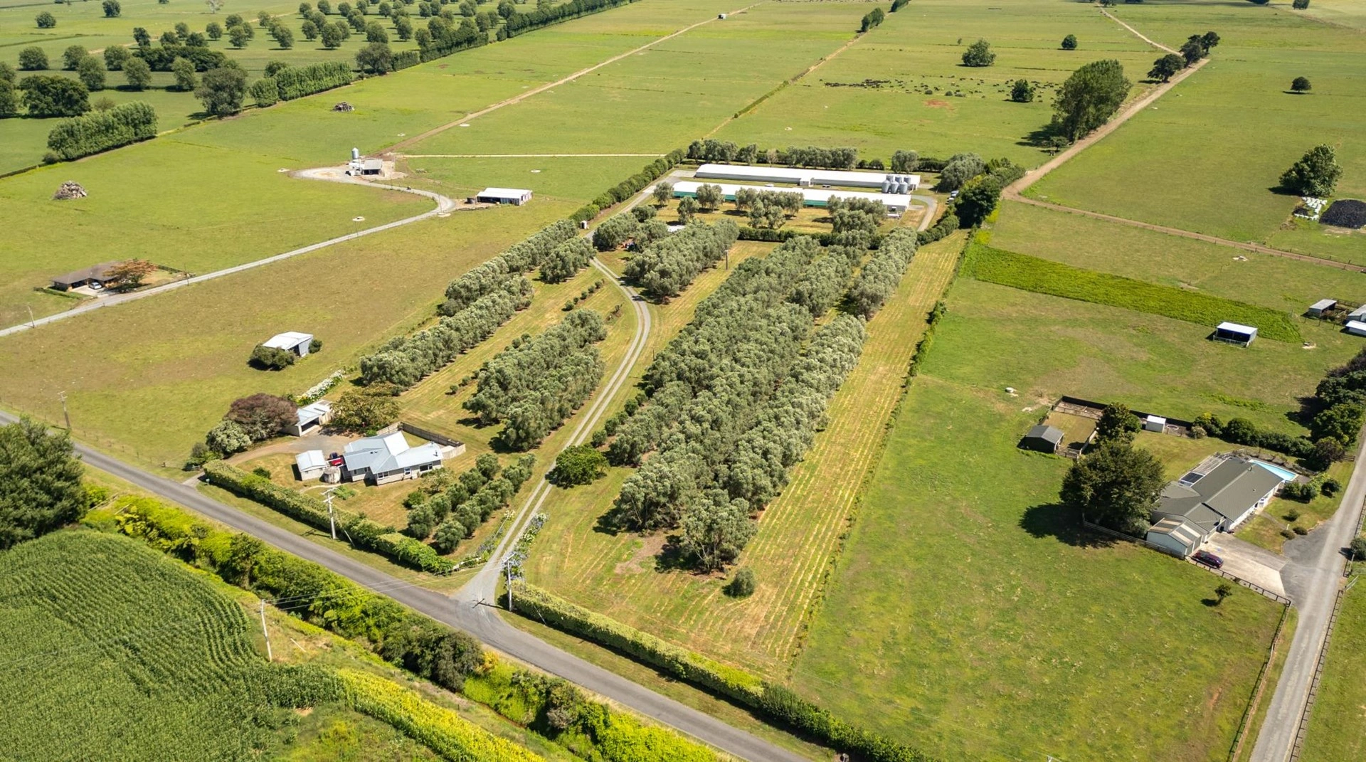 Современная ферма в Гамильтоне, Новая Зеландия