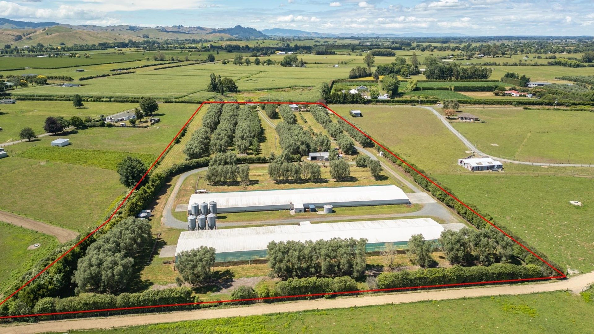 Современная ферма в Гамильтоне, Новая Зеландия