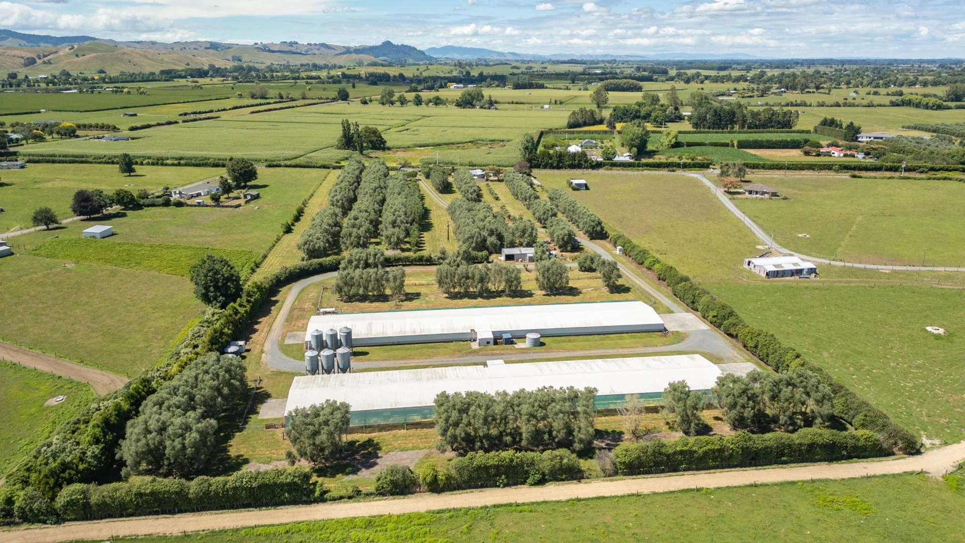 Современная ферма в Гамильтоне, Новая Зеландия