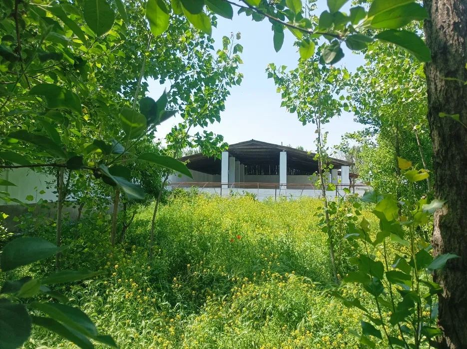 Универсальное коммерческое помещение 41 m² в Намангане, Узбекистан