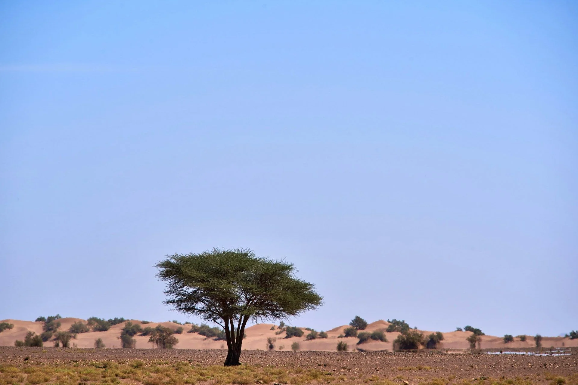 Купить вторичную недвижимость напрямую у владельца в Чаде — без агентских комиссий | VelesClub Int.