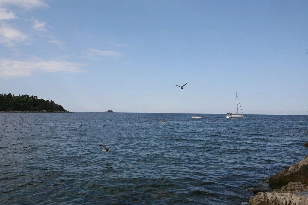 Роскошный дом на Истрийском полуострове в Ровинье