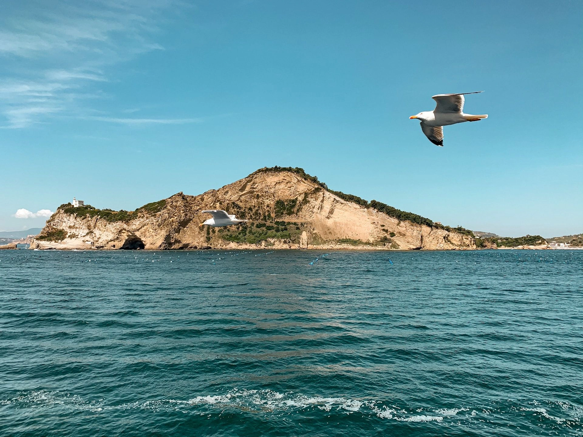 image city Флайинг-Фиш-Ков