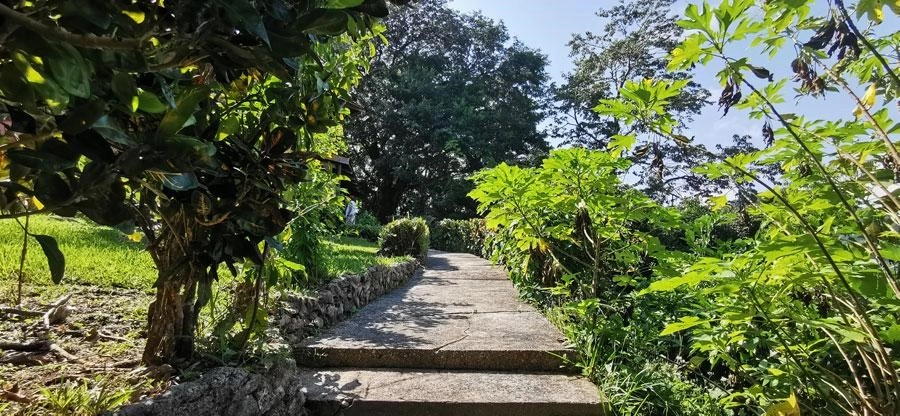 Обновлённый дом 9+1 в Ливингстоне, Великобритания